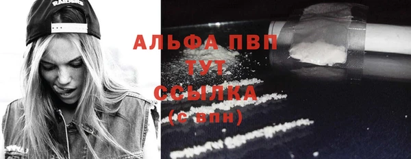 прущий лед Аркадак