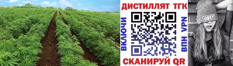 Дистиллят ТГК концентрат  Купить  Мосальск 