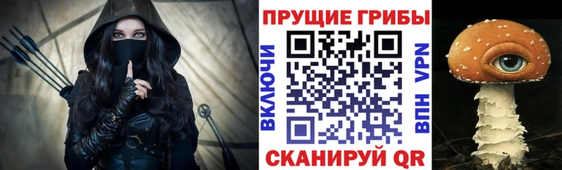 Купить где  Мосальск  Псилоцибиновые грибы Magic Shrooms 